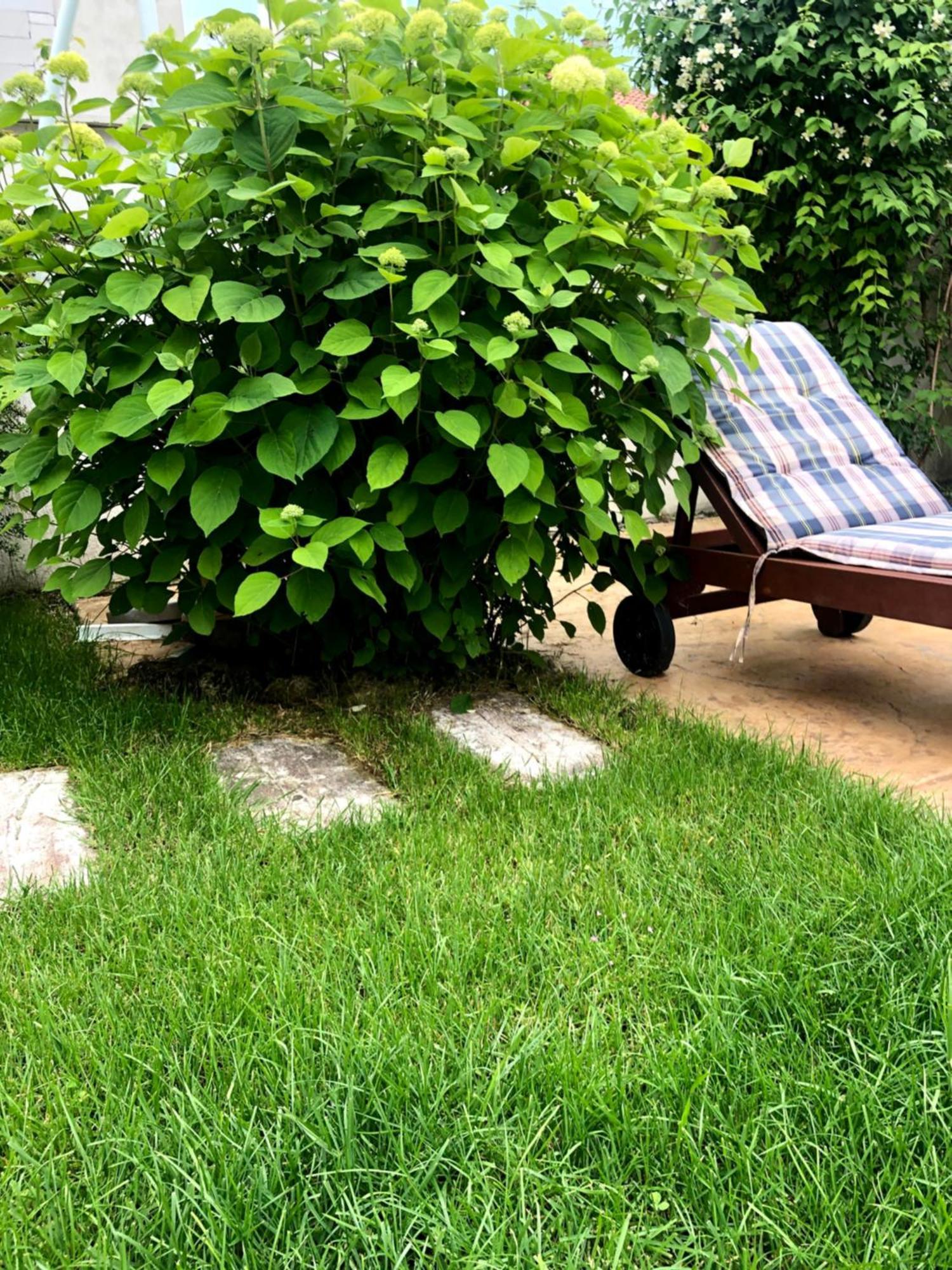 Red House Family Hotel Ravda Dış mekan fotoğraf