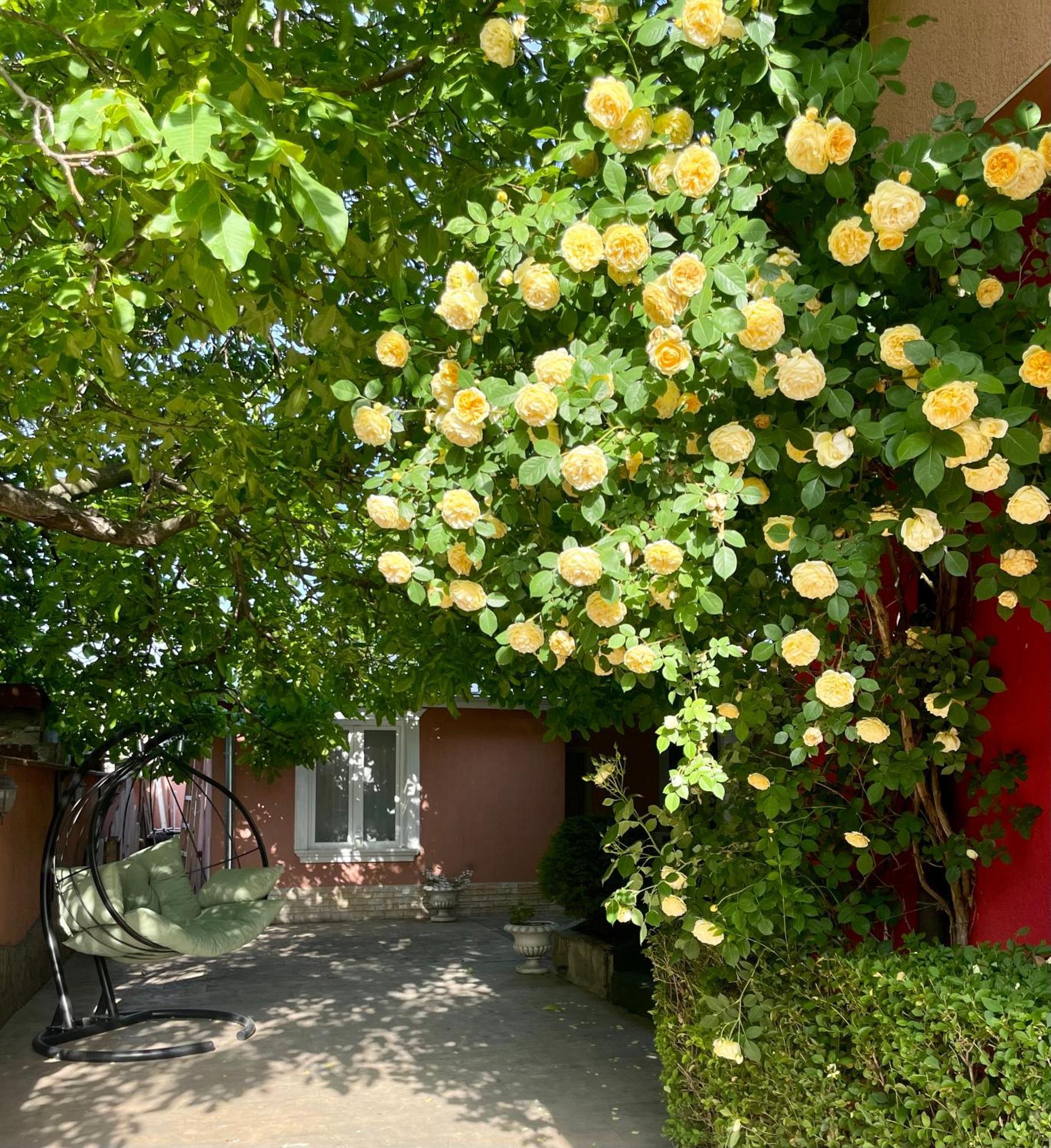 Red House Family Hotel Ravda Dış mekan fotoğraf