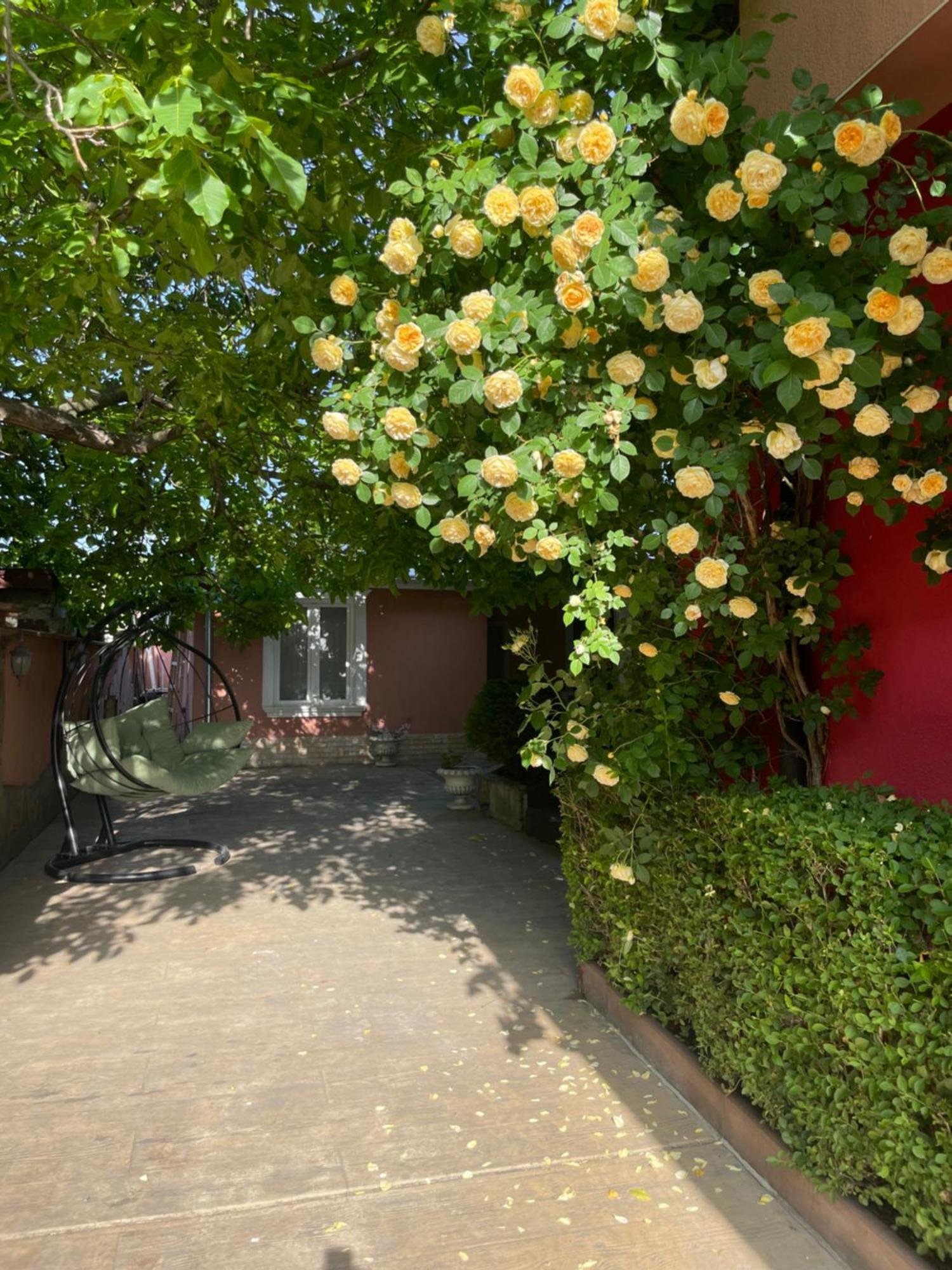 Red House Family Hotel Ravda Dış mekan fotoğraf